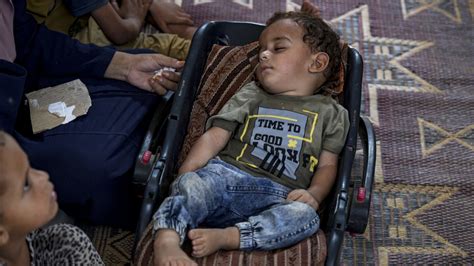 Baby in Gaza paralyzed by mutated polio strain from vaccinated .